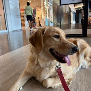 Meet your Posher, Isabella